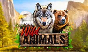 Wild Animals