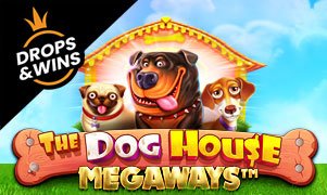 The Dog House Megaways™